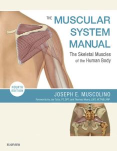 The Muscular System Manual