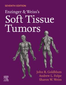 Enzinger and Weiss's Soft Tissue Tumors E-Book