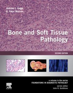 Bone and Soft Tissue Pathology E-Book