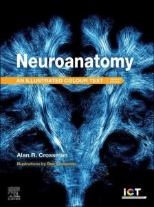 Neuroanatomy: Illustrated Colour Text - E-Book