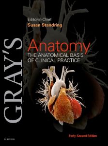 Gray's Anatomy E-Book